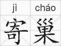 寄巢的拼音