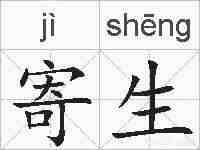 寄生的拼音