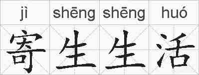 寄生生活的拼音