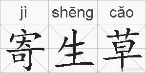 寄生草的拼音