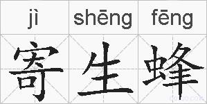 寄生蜂的拼音