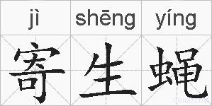寄生蝇的拼音