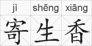 寄生香的拼音