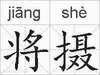 将摄的拼音
