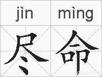 尽命的拼音
