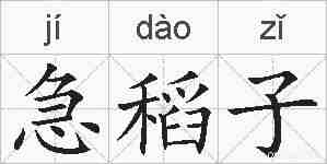急稻子的拼音