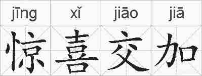惊喜交加的拼音