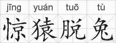 惊猿脱兔的拼音