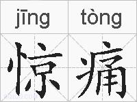 惊痛的拼音