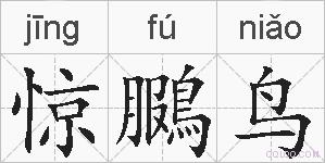 惊鵩鸟的拼音
