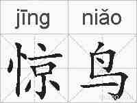 惊鸟的拼音