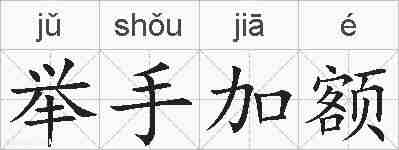 举手加额的拼音