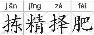 拣精择肥的拼音