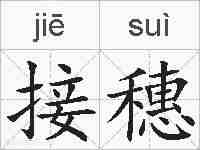 接穗的拼音