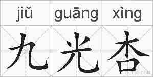 九光杏的拼音