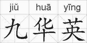 九华英的拼音