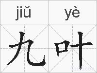 九叶的拼音