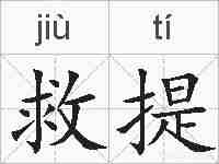 救提的拼音