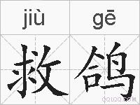 救鸽的拼音