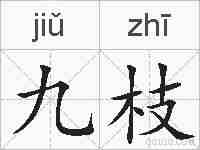 九枝的拼音