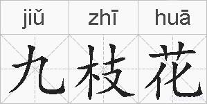 九枝花的拼音