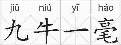 九牛一毫的拼音