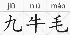 九牛毛的拼音