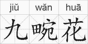 九畹花的拼音