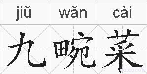 九畹菜的拼音