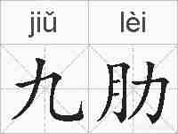 九肋的拼音