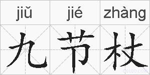九节杖的拼音