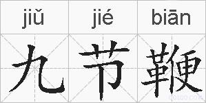 九节鞭的拼音