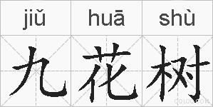 九花树的拼音