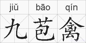 九苞禽的拼音