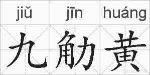 九觔黄的拼音