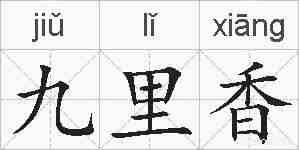 九里香的拼音