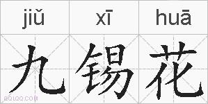 九锡花的拼音