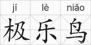 极乐鸟的拼音