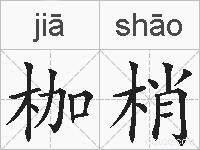 枷梢的拼音
