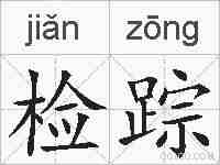 检踪的拼音