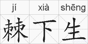 棘下生的拼音