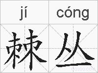 棘丛的拼音