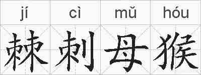 棘刺母猴的拼音