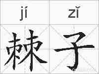 棘子的拼音