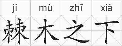 棘木之下的拼音