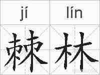 棘林的拼音