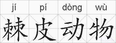 棘皮动物的拼音