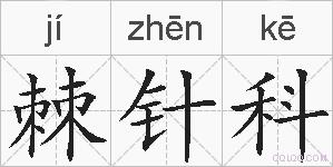 棘针科的拼音