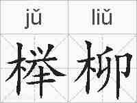 榉柳的拼音