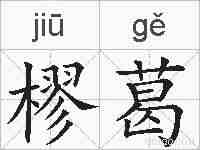 樛葛的拼音